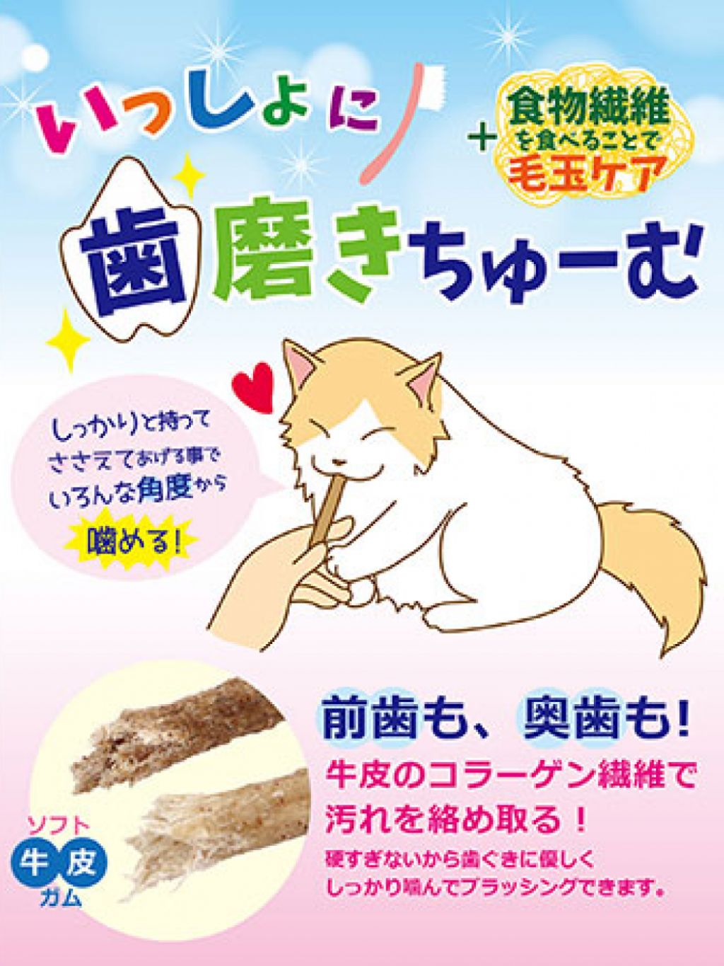 Petz Route 吞拿魚味潔牙棒(貓) 25g