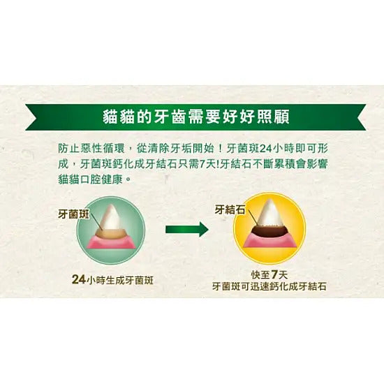 Greenies 潔齒貓小食 三文魚味 130g