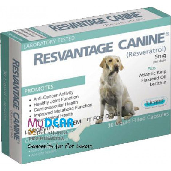 Resvantage Canine 維蘆醇 白藜蘆醇 (犬用) 30粒